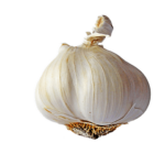 ajo