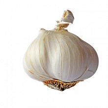 ajo