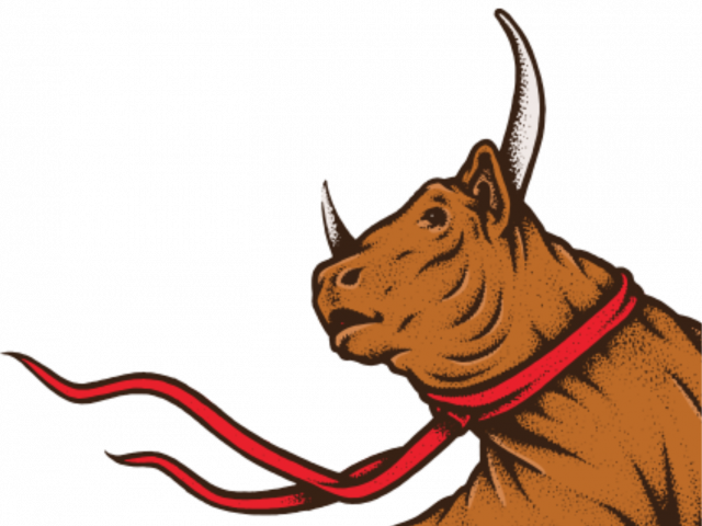 bull_image_final